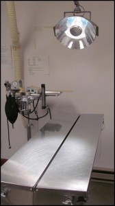 Surgery	